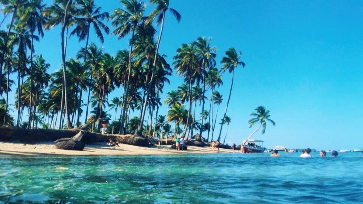 Place Praia dos carneiros 🏖🏝⛱