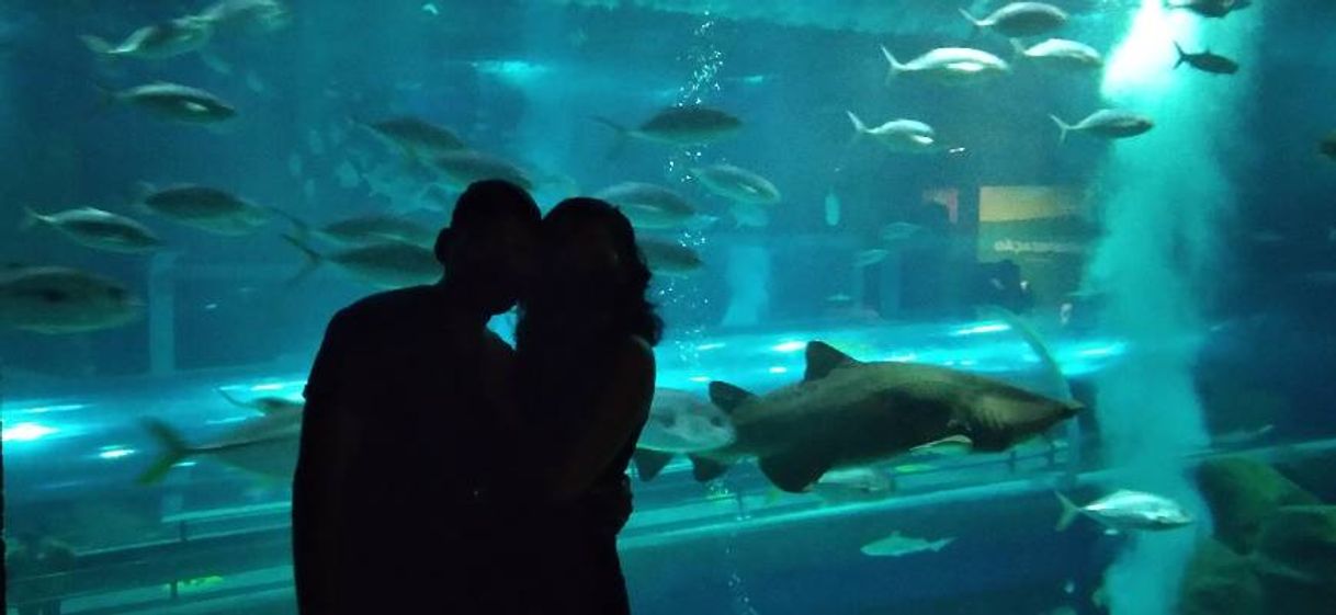 Lugar AquaRio - Aquário Marinho do Rio de Janeiro
