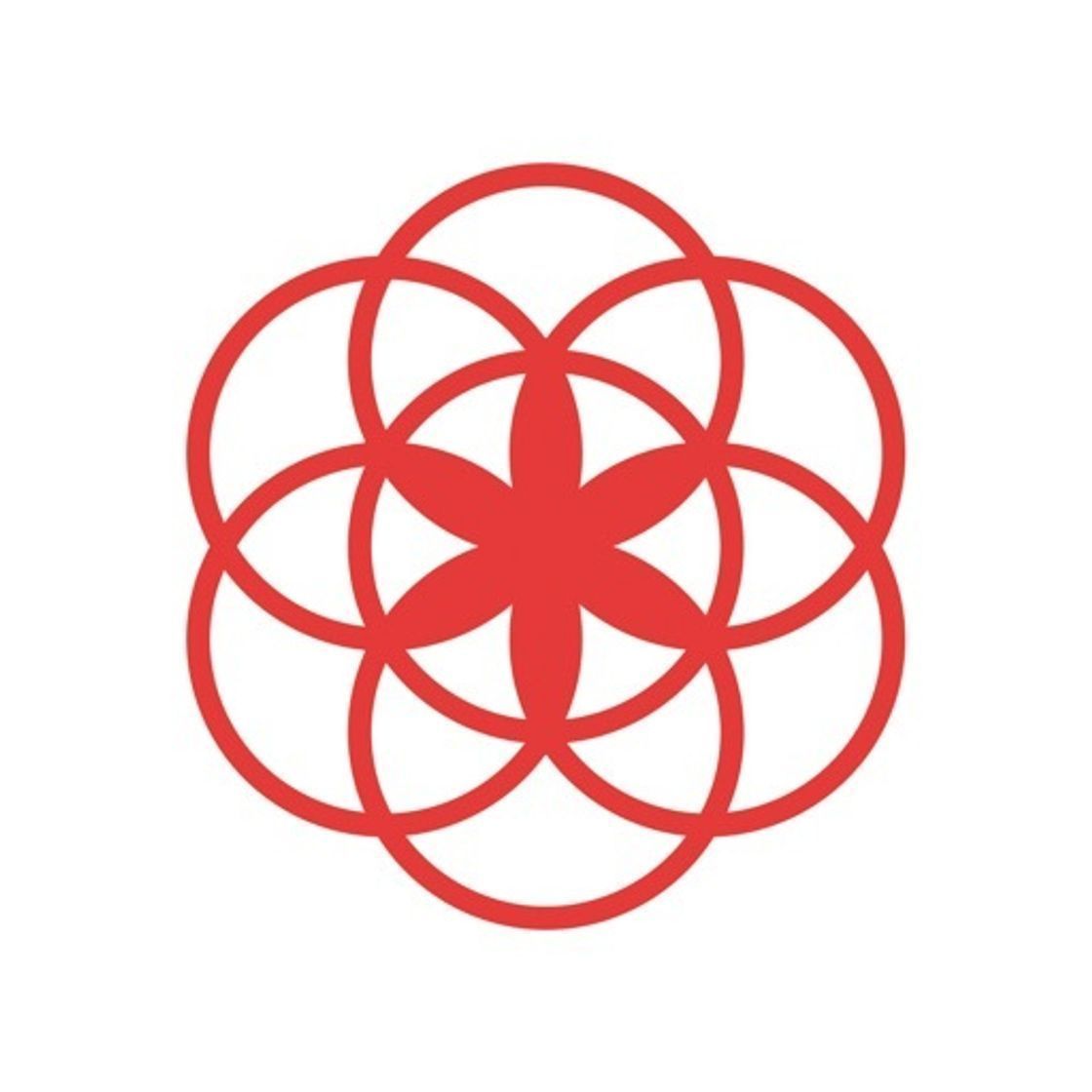 App Clue - Calendario Menstrual