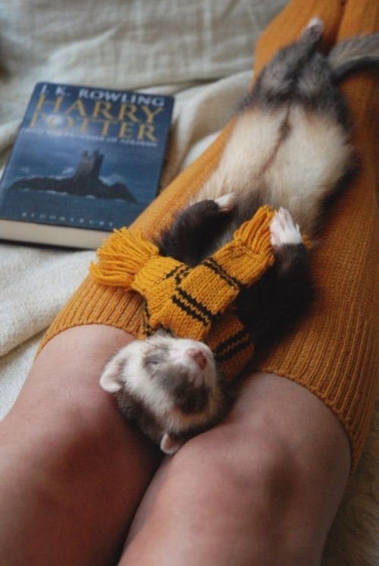 Moda Hufflepuff