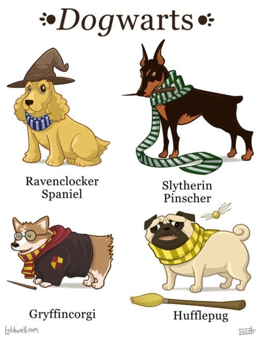 Fashion Dogwarts 🐾 