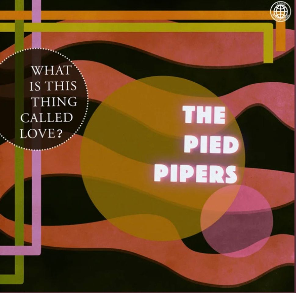 Moda Dream - The Pied Pipers