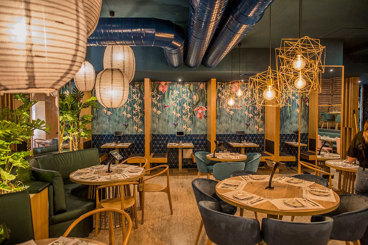 Restaurantes SUMO Fusión Restaurante