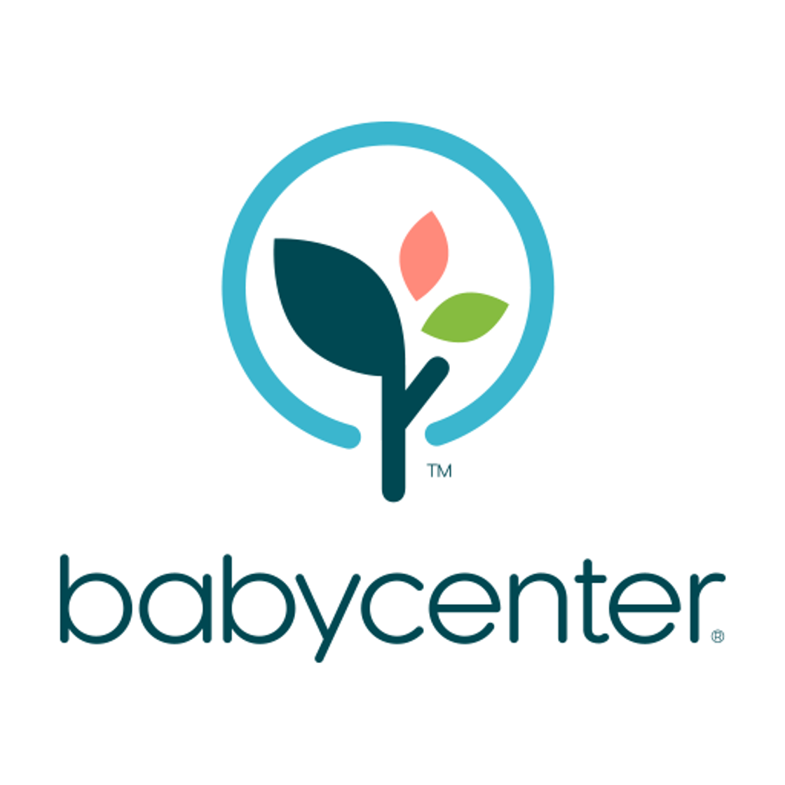 App Pregnancy Tracker - BabyCenter