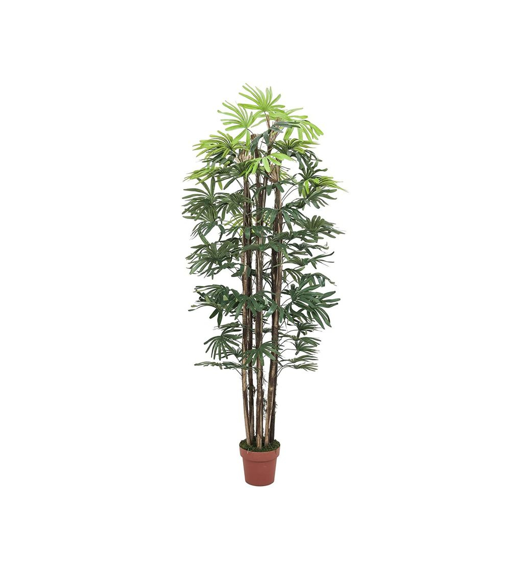 Products raphis Excelsa verde – Árbol artificial