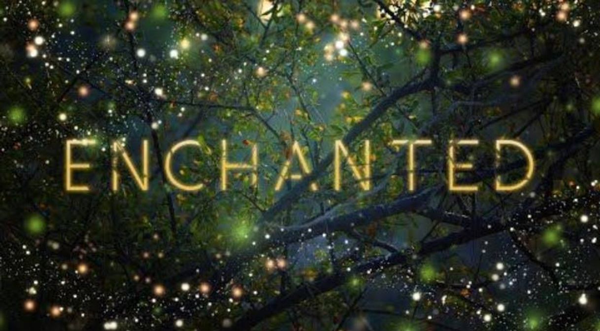 Music Audiomachine Curated Collection - Enchanted