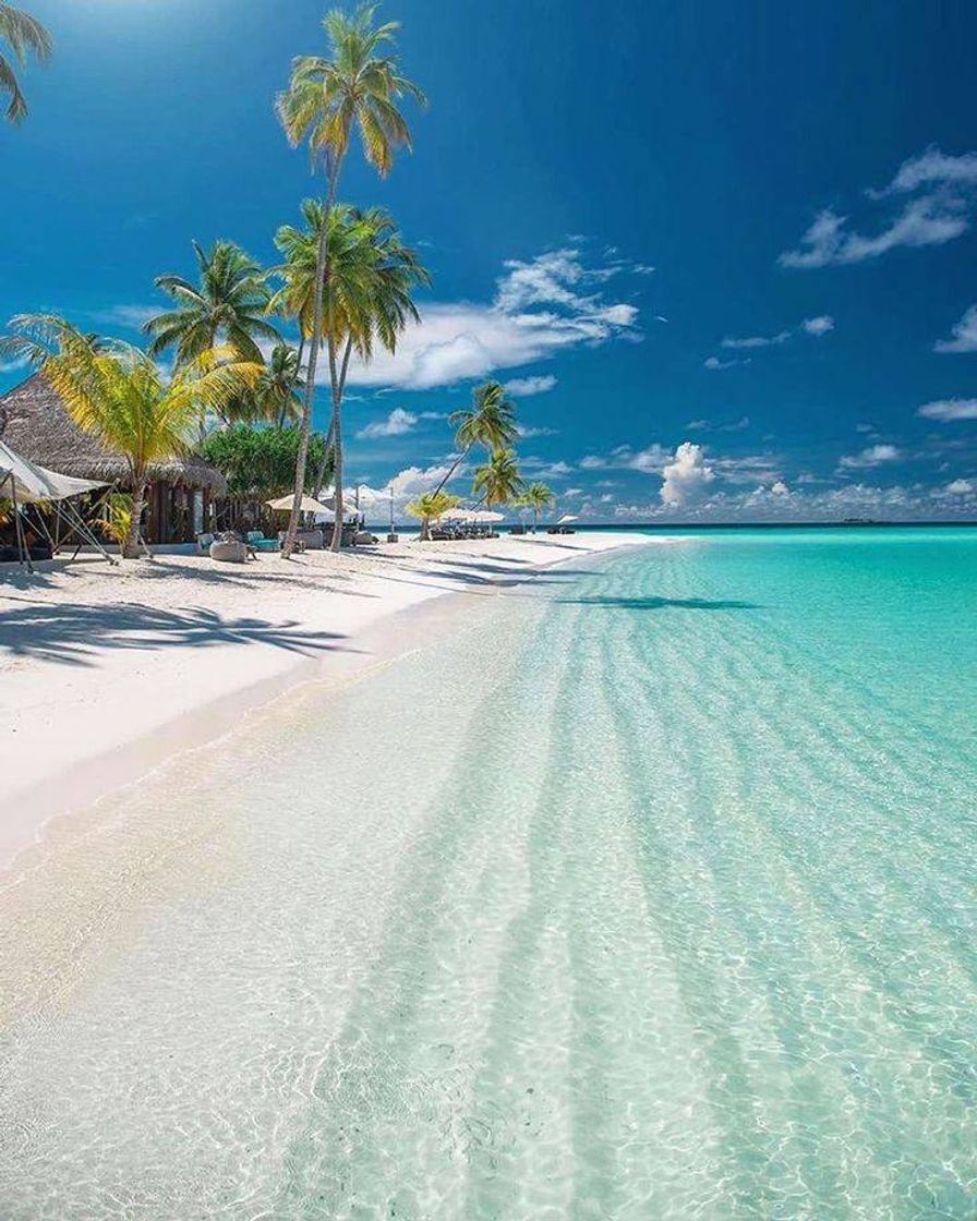 Place Maldive Islands