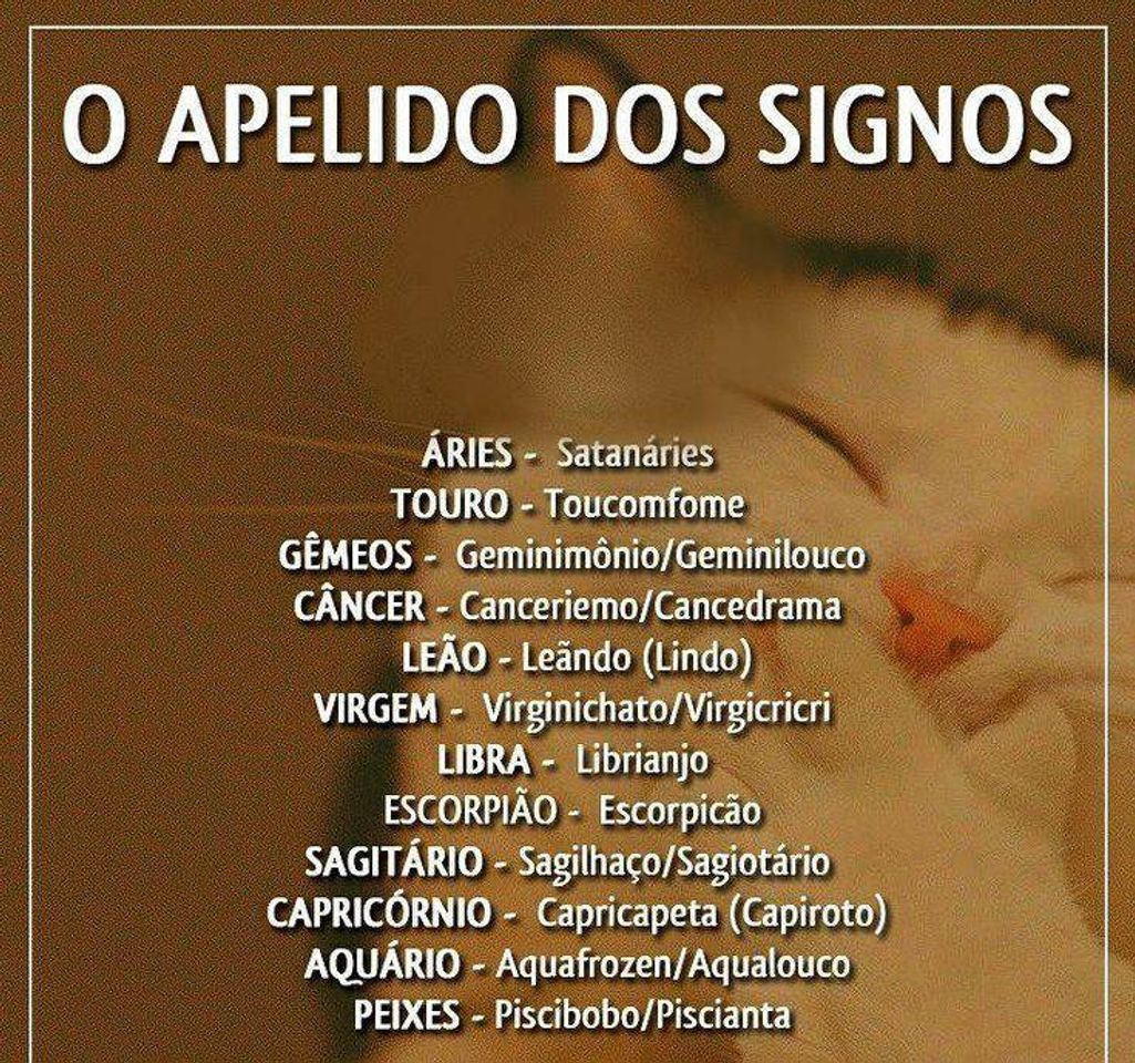 Social Signos