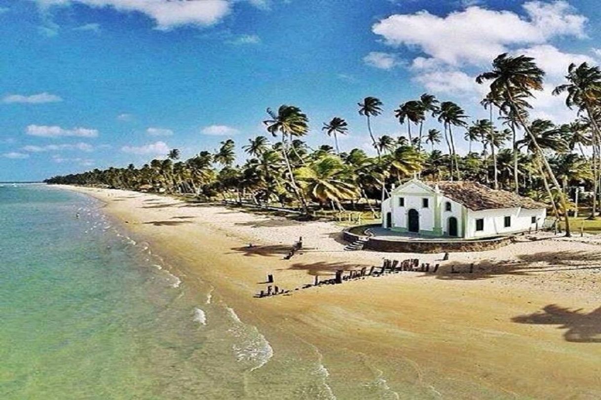 Lugar Praia dos Carneiros