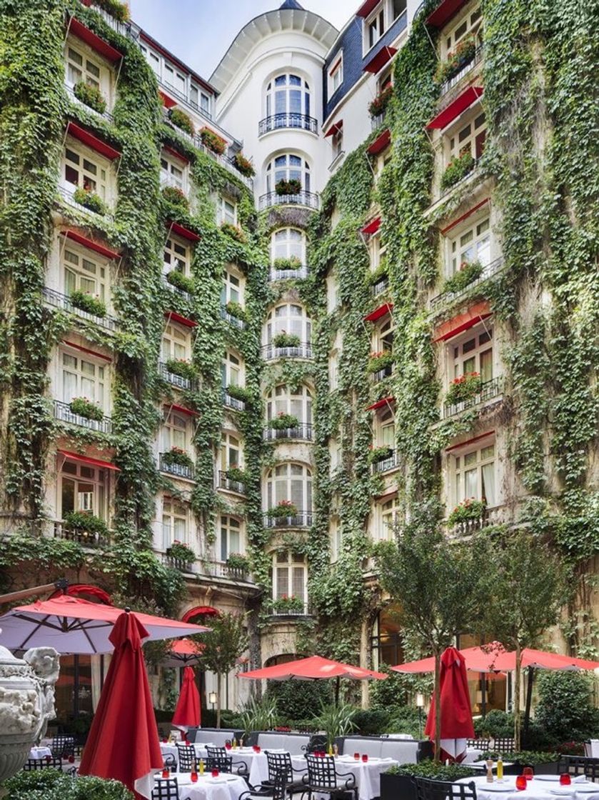 Social Hotel 