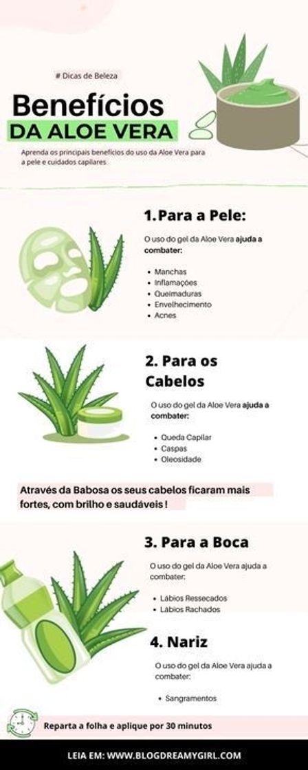 Moda Aloe Vera... 💖