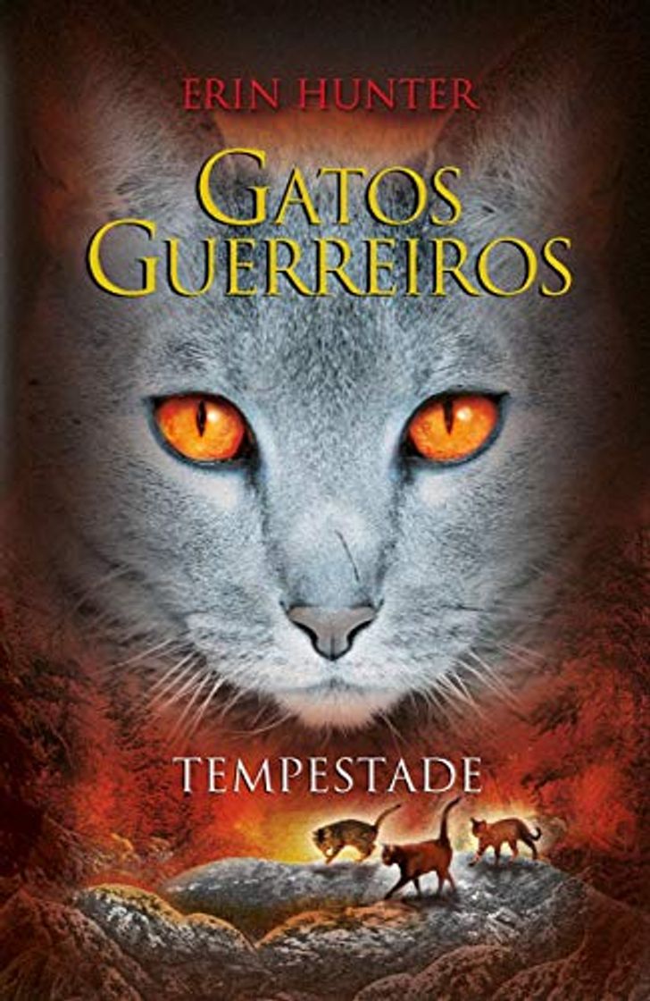 Book Gatos Guerreiros. Tempestade