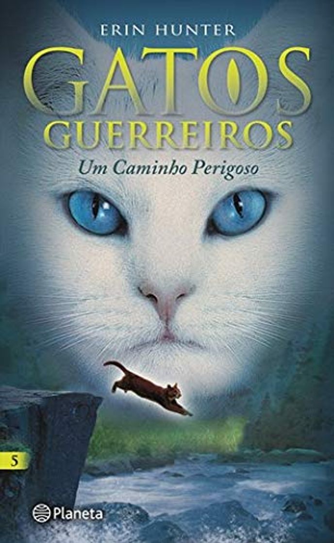 Book Gatos Guerreiros N.º 5