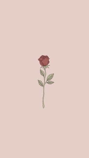 Roses 🌹 