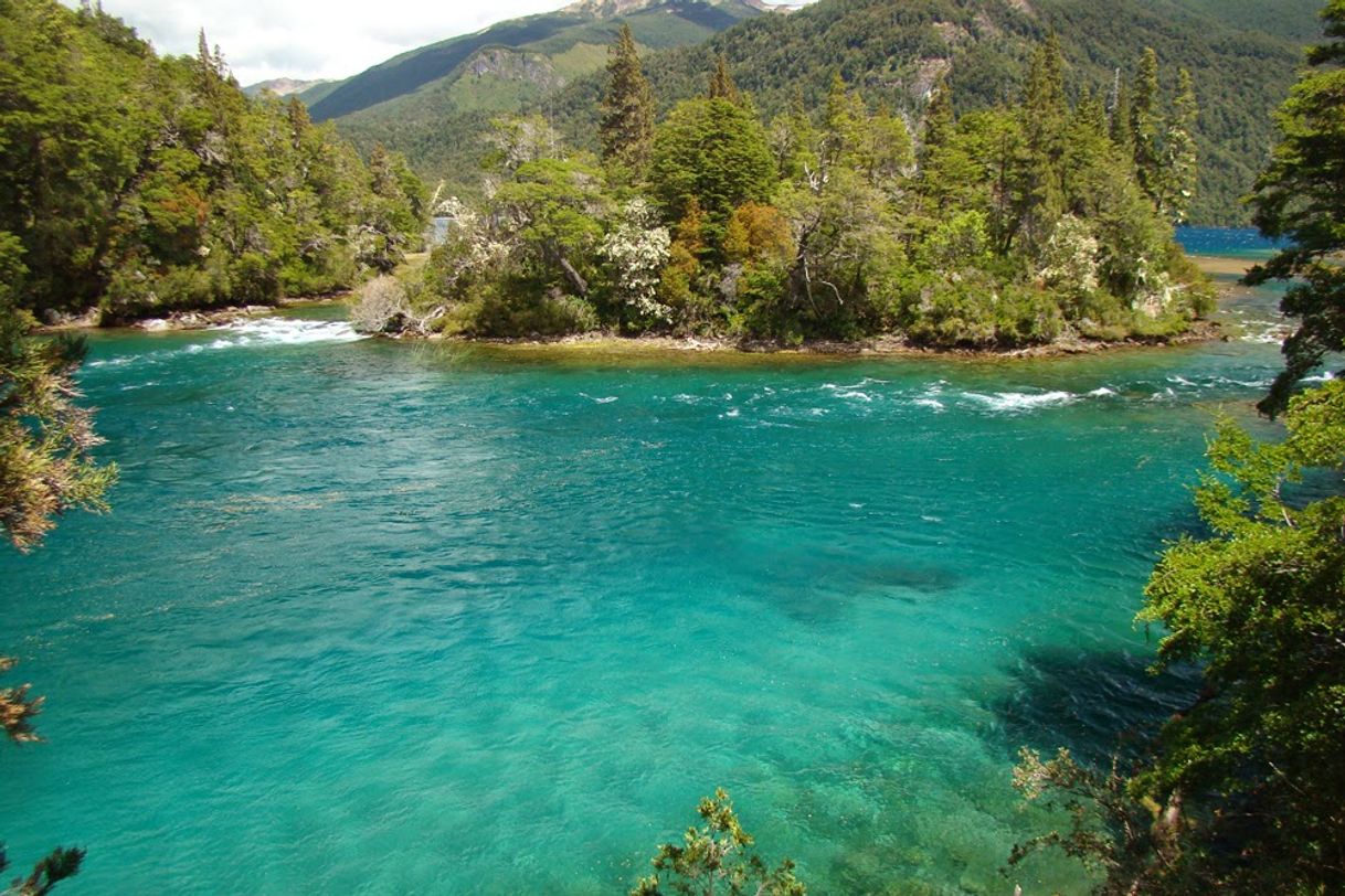 Place Parque Nacional Los Alerces