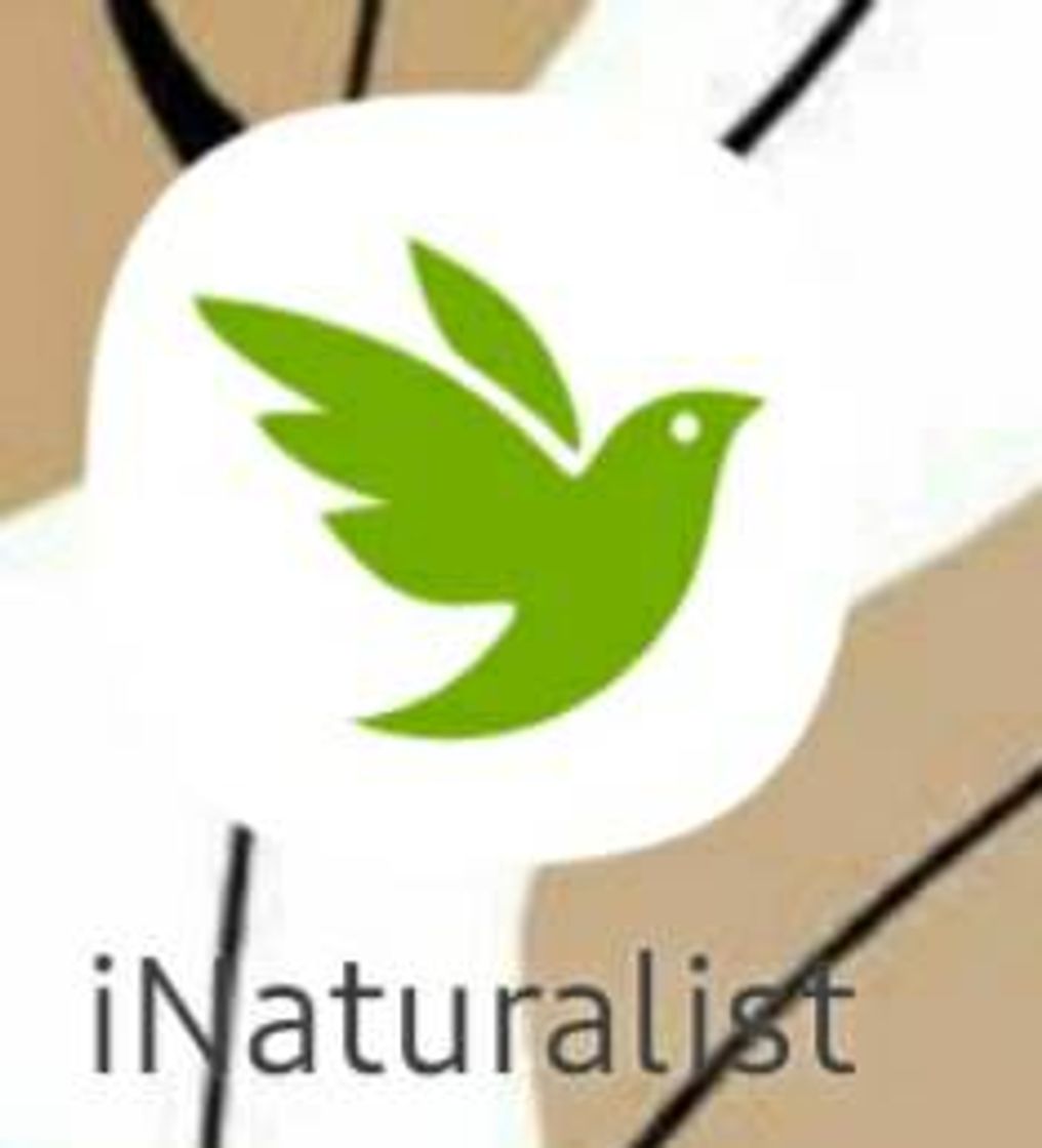 App iNaturalist - Apps on Google Play