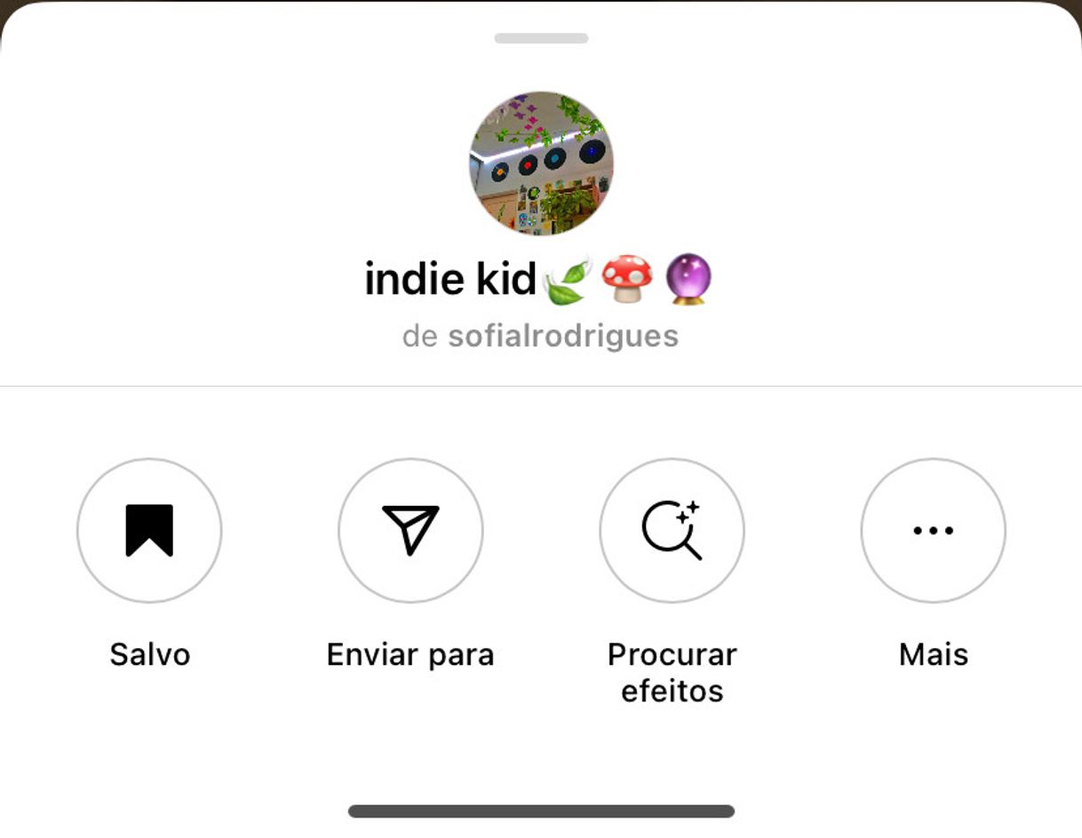 Moda efeito do insta (indie)