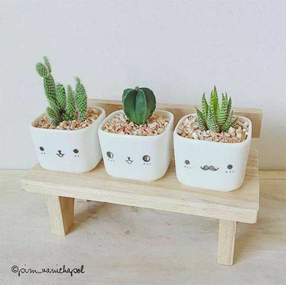 Moda decoração diy