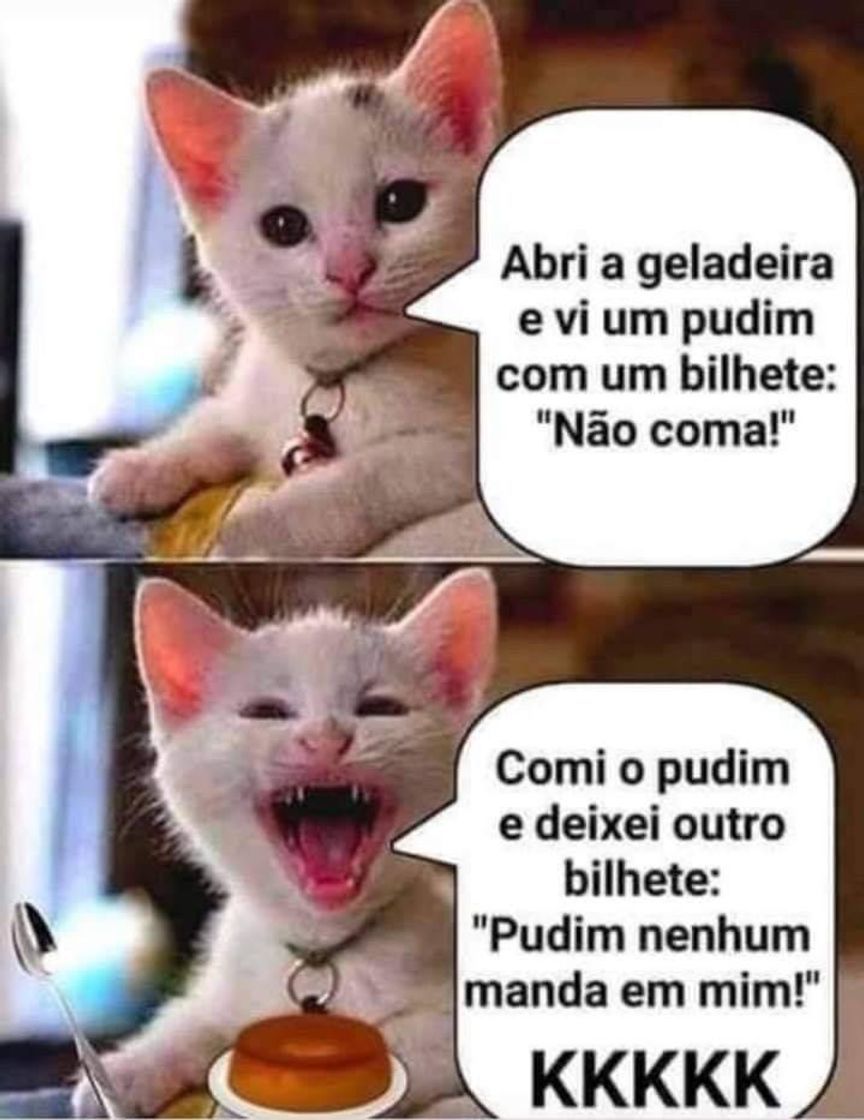 Moda Vai vendo!! 😄