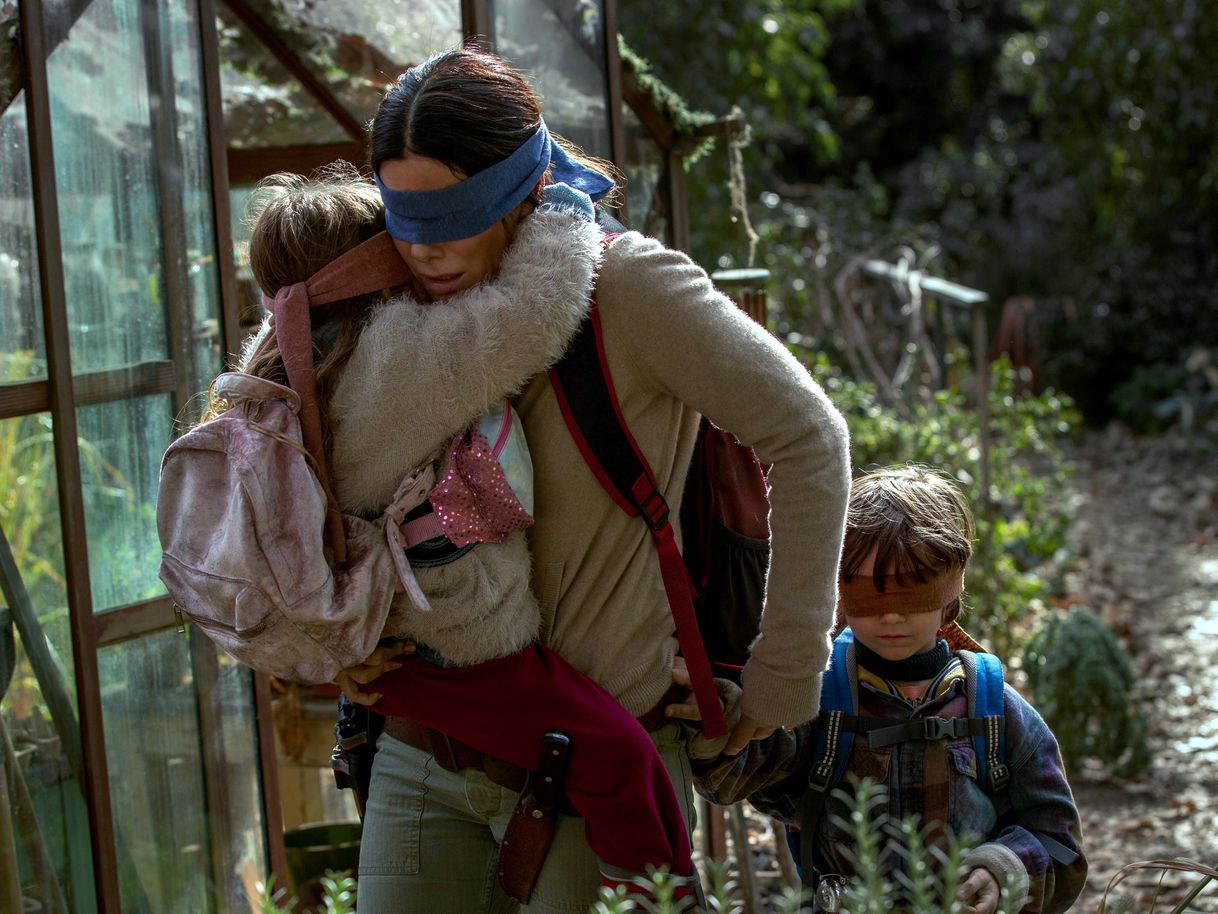 Película Bird Box 