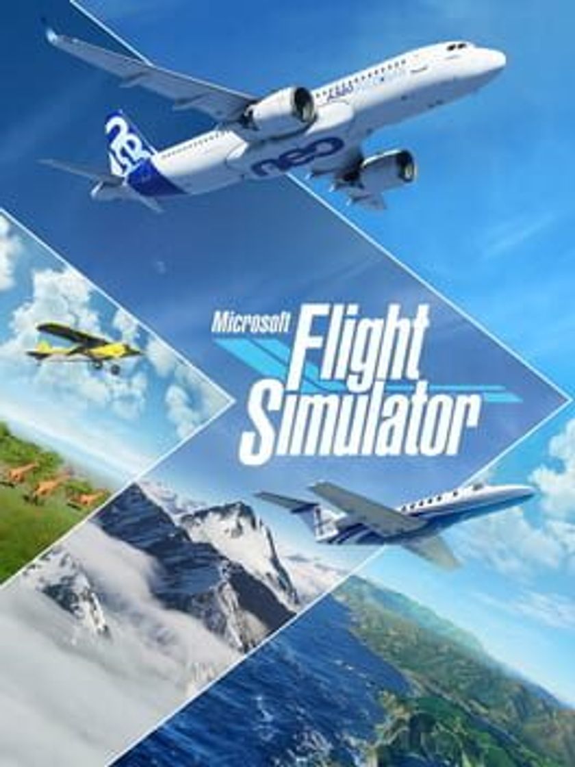 Videogames Microsoft Flight Simulator