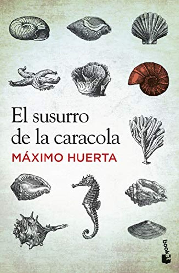 Libros El susurro de la caracola