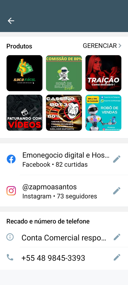 Fashion Catálogo de produtos no perfil do whatsapp Business 