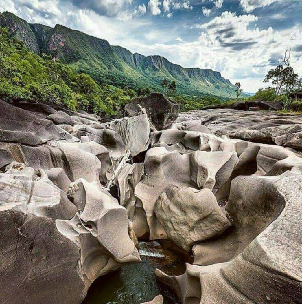 Moda Vale da lua 