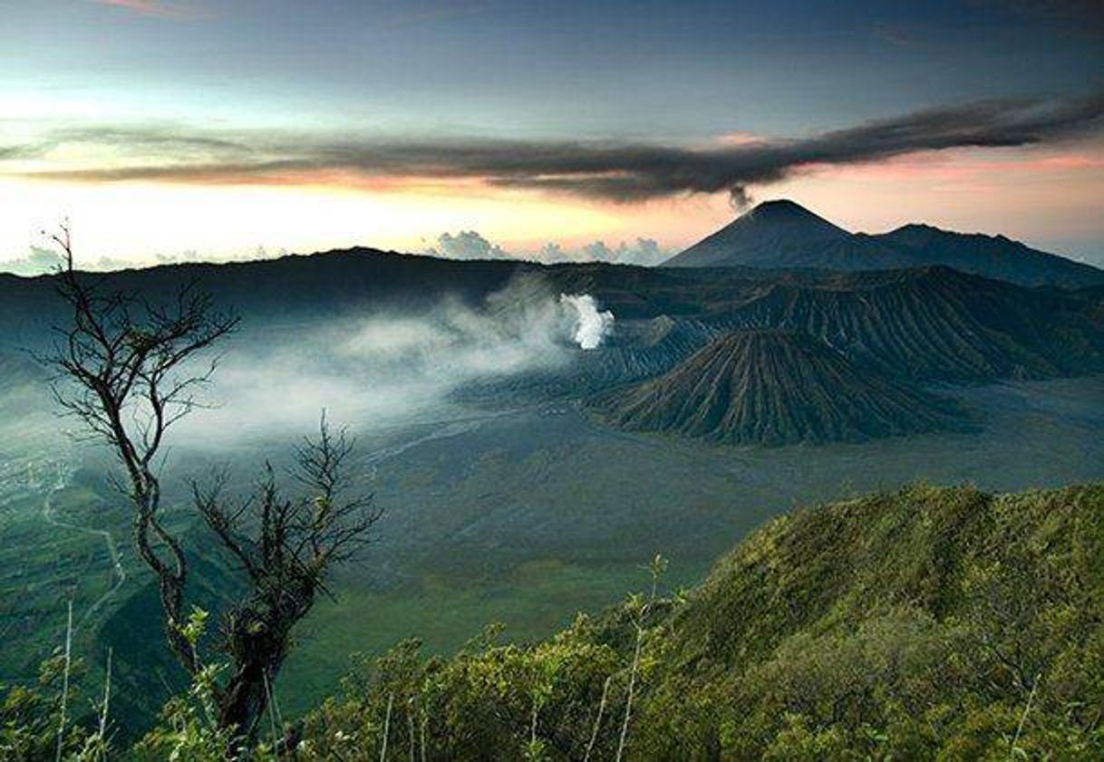 Place Mt Bromo