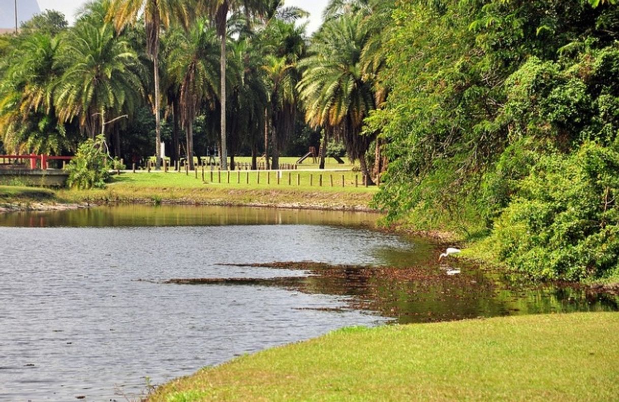 Lugares Bosque da Barra