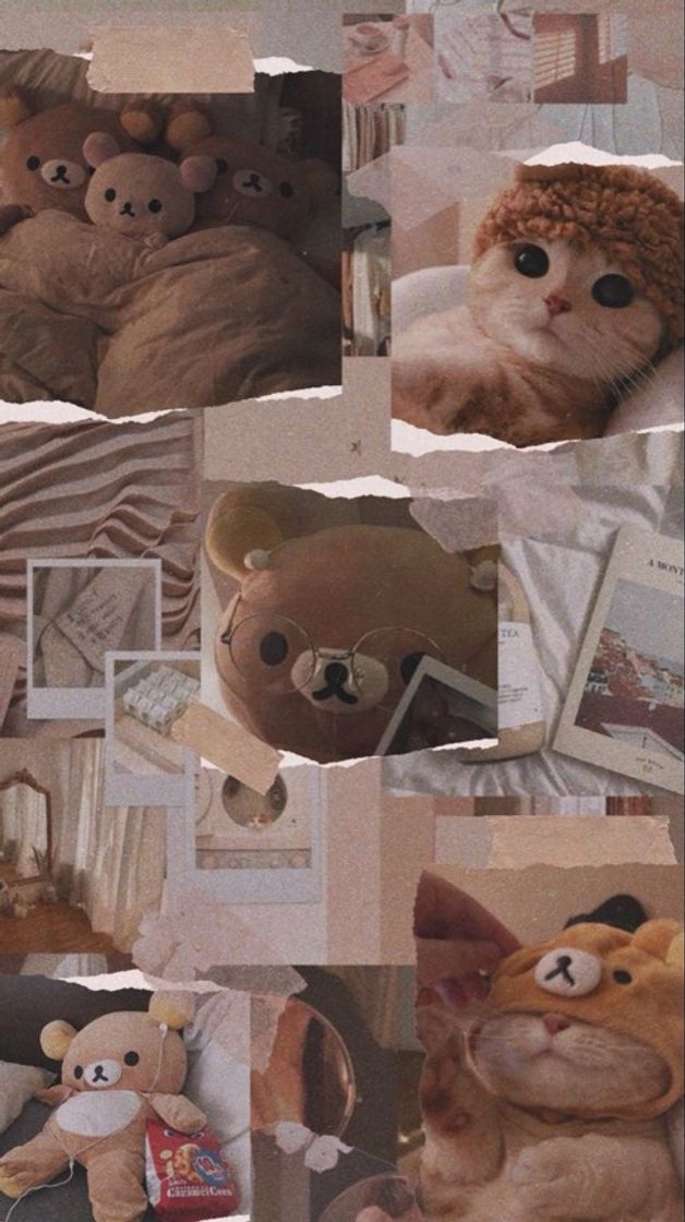 Fashion Teddy Bear Wallpaper 🧸