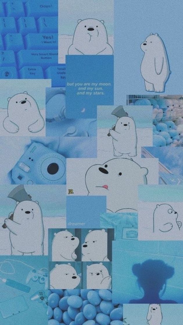 Bear Wallpaper 💙