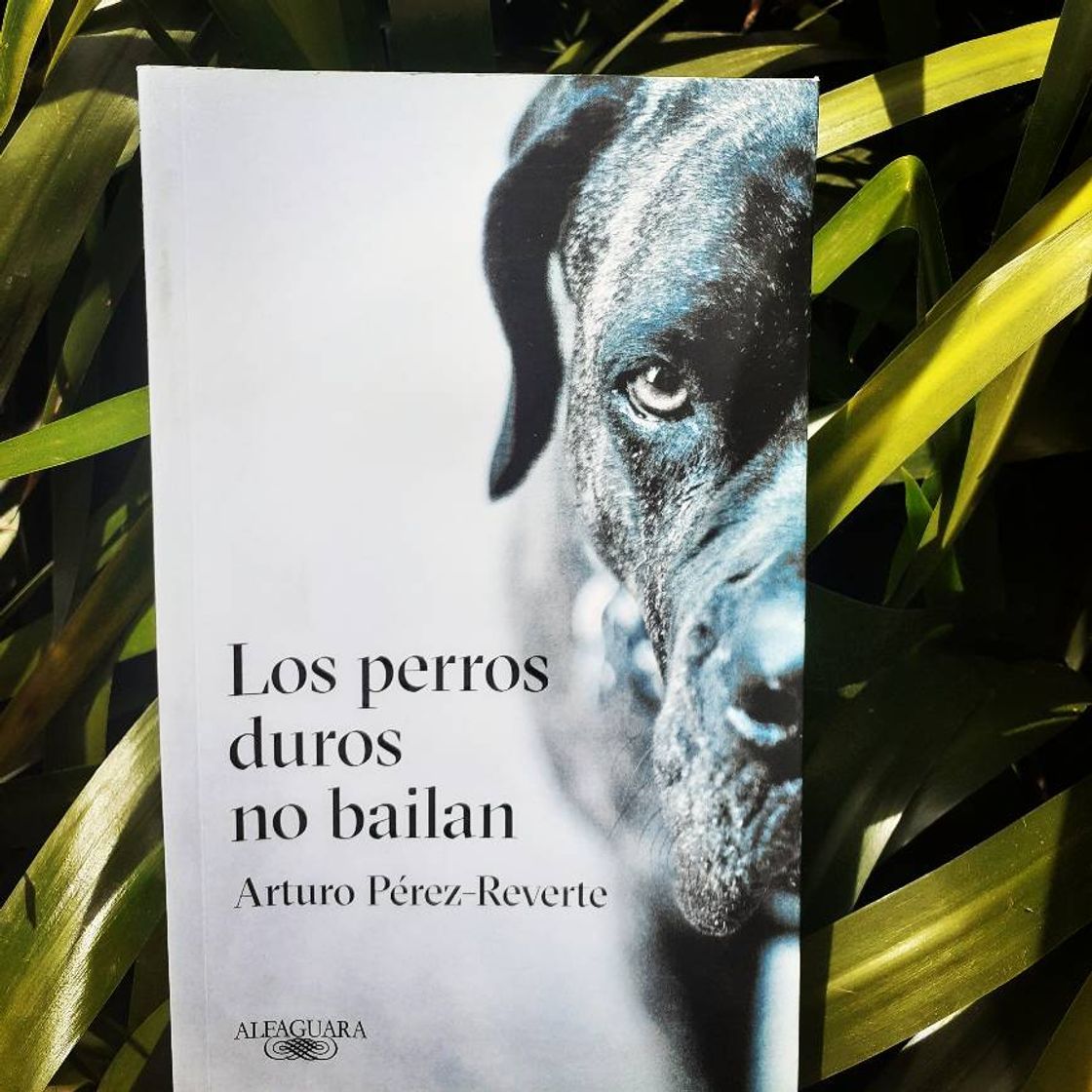 Libro Los perros duros no bailan 