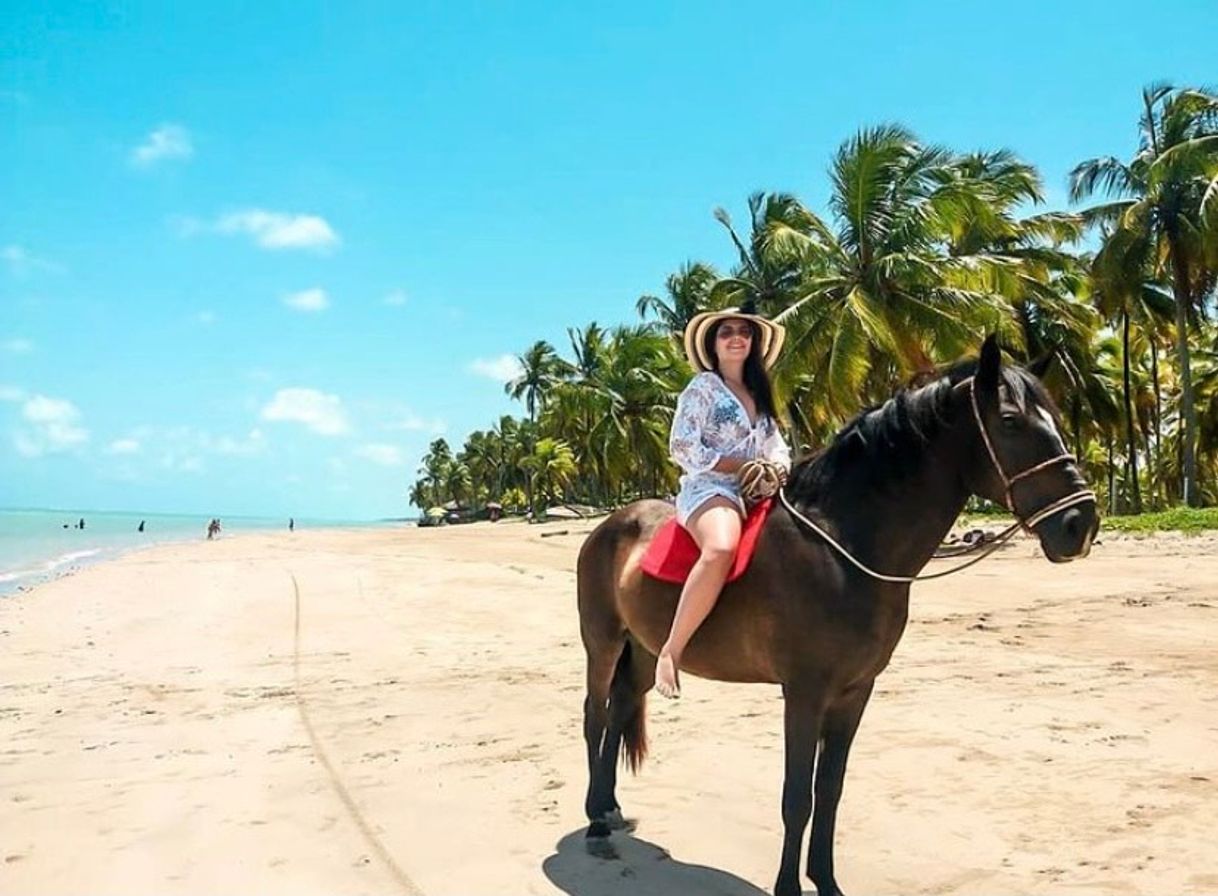 Moda Uma praia paradisíaca, parece um filme.