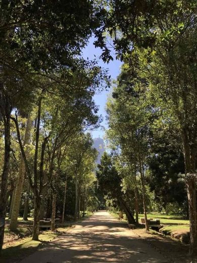 Jardim Botânico do Rio de Janeiro 