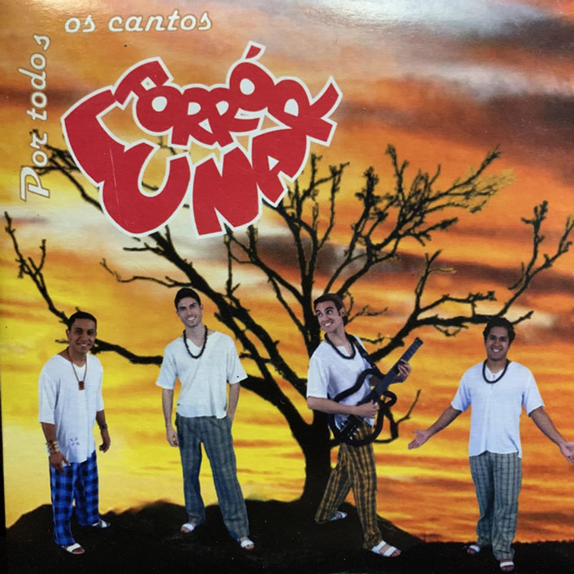 Canción Coração de Forrozeiro