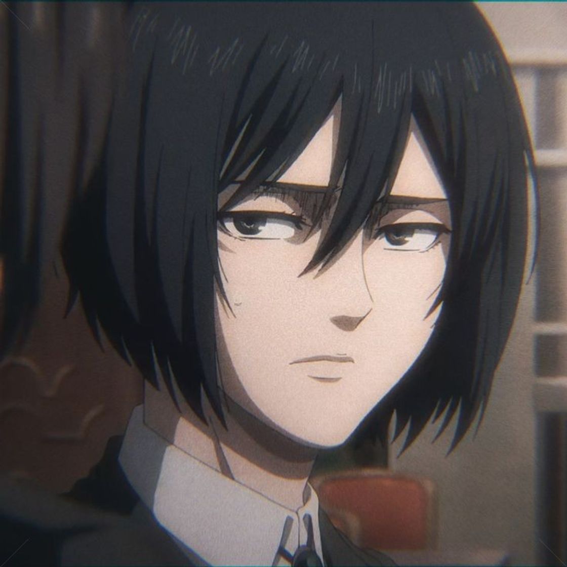Social Mikasa Ackerman