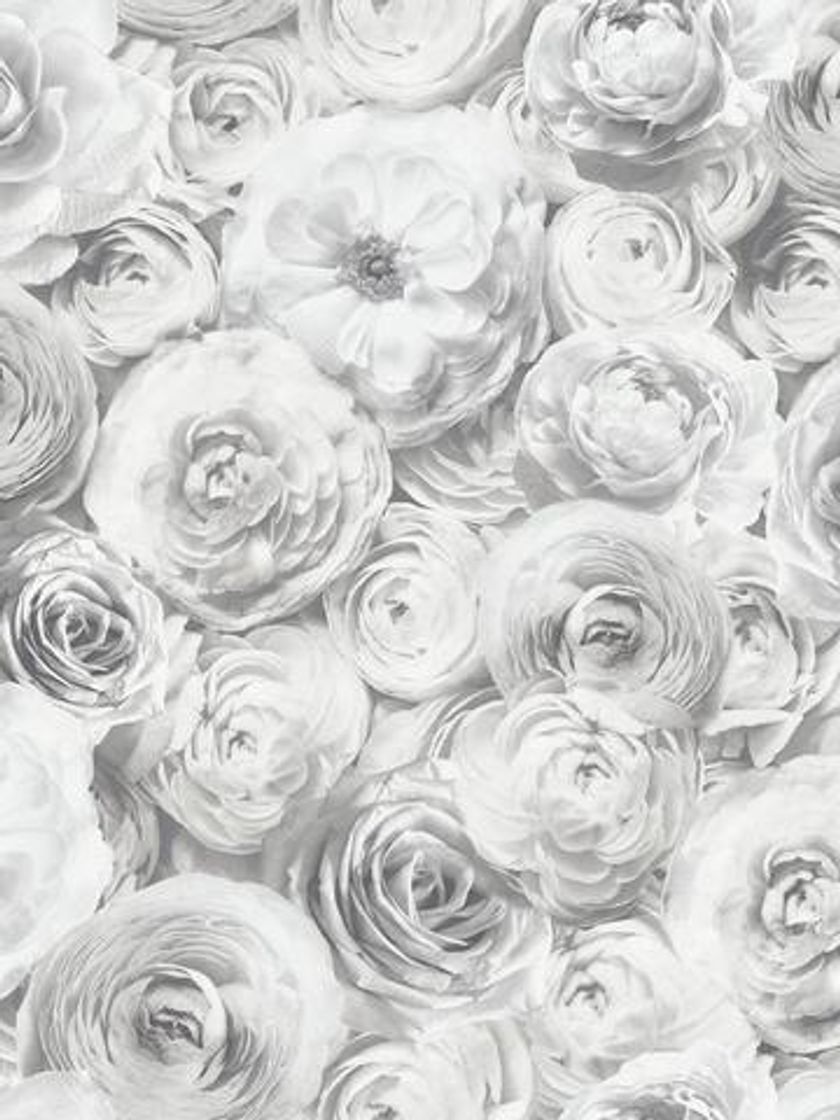 Wallpaper 
