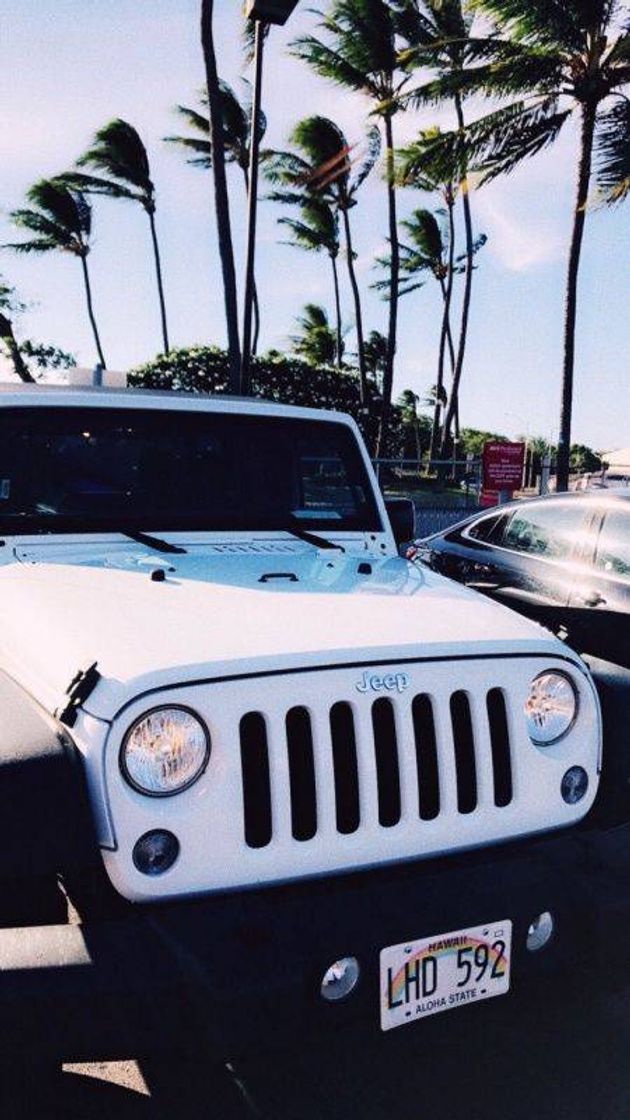 Fashion Jeep