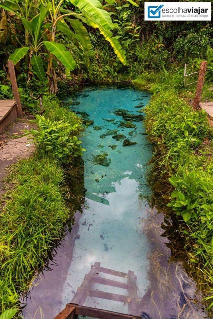 Social Água e verde 