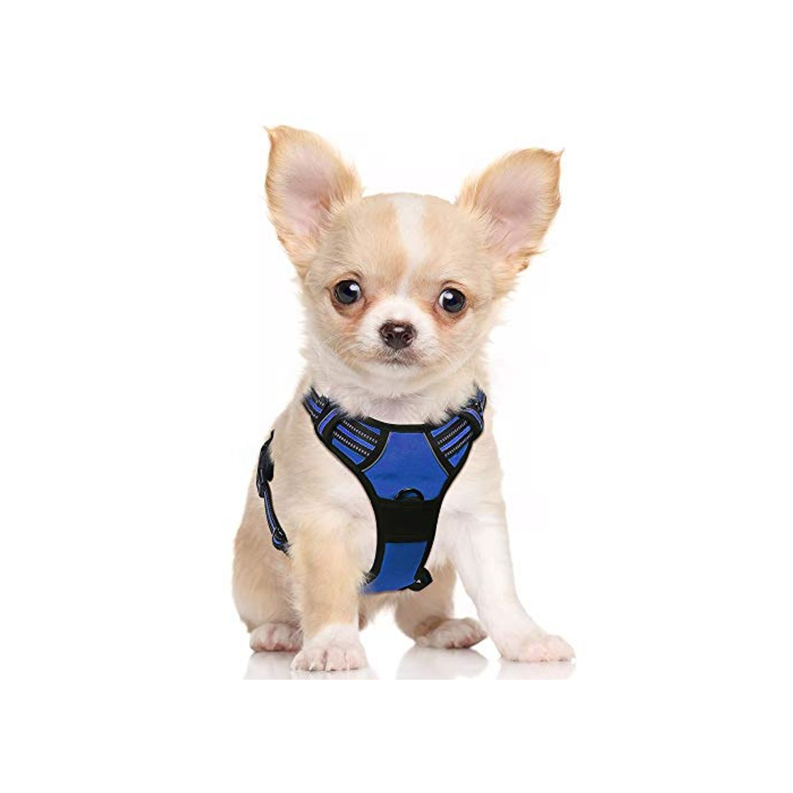 Product rabbitgoo Arnés para Perro Pequeño Arnes Antitirones Perro Lineas Reflectores Mejor Seguridad en Noche Color Azul Tamaño S Pequeño