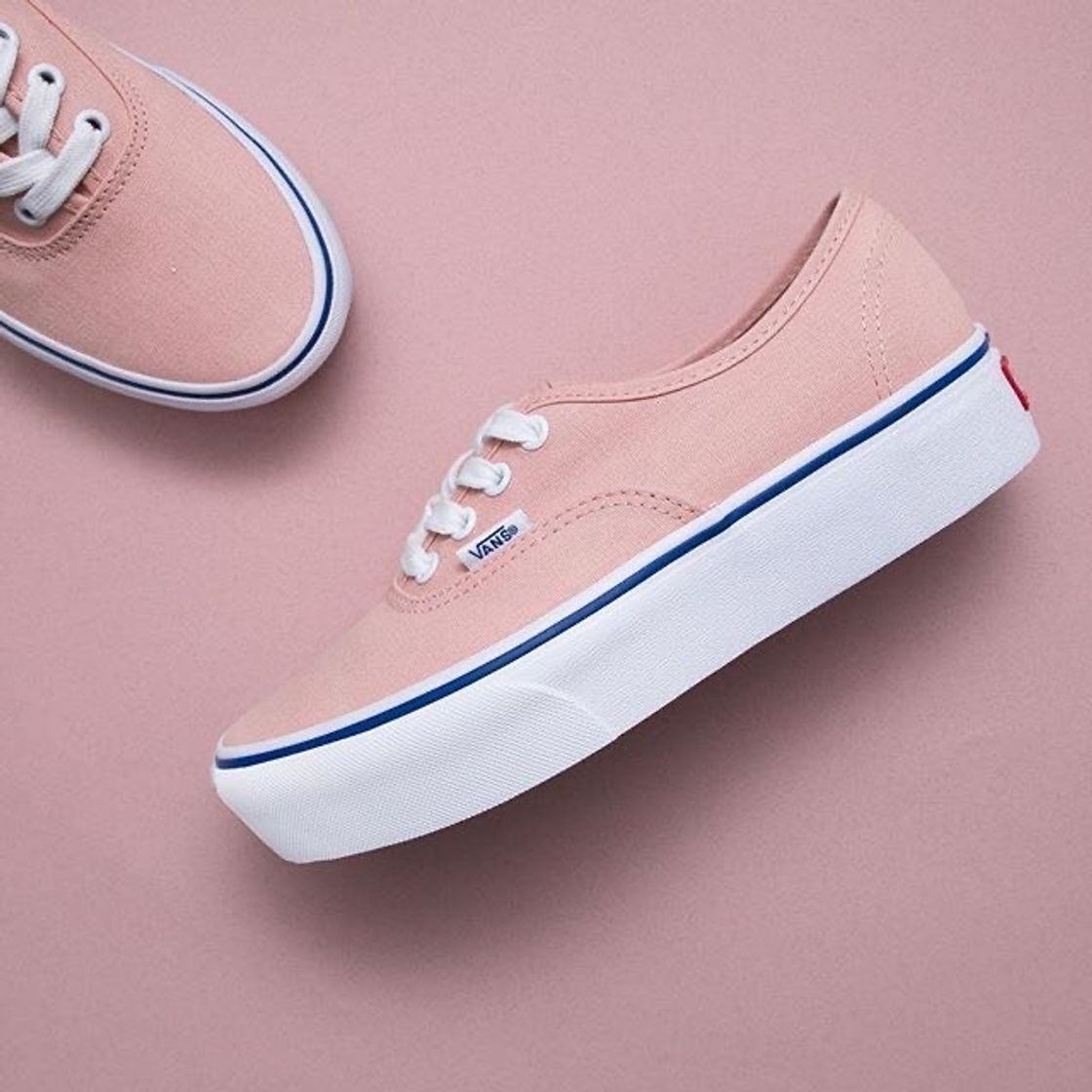 Moda Vans✨