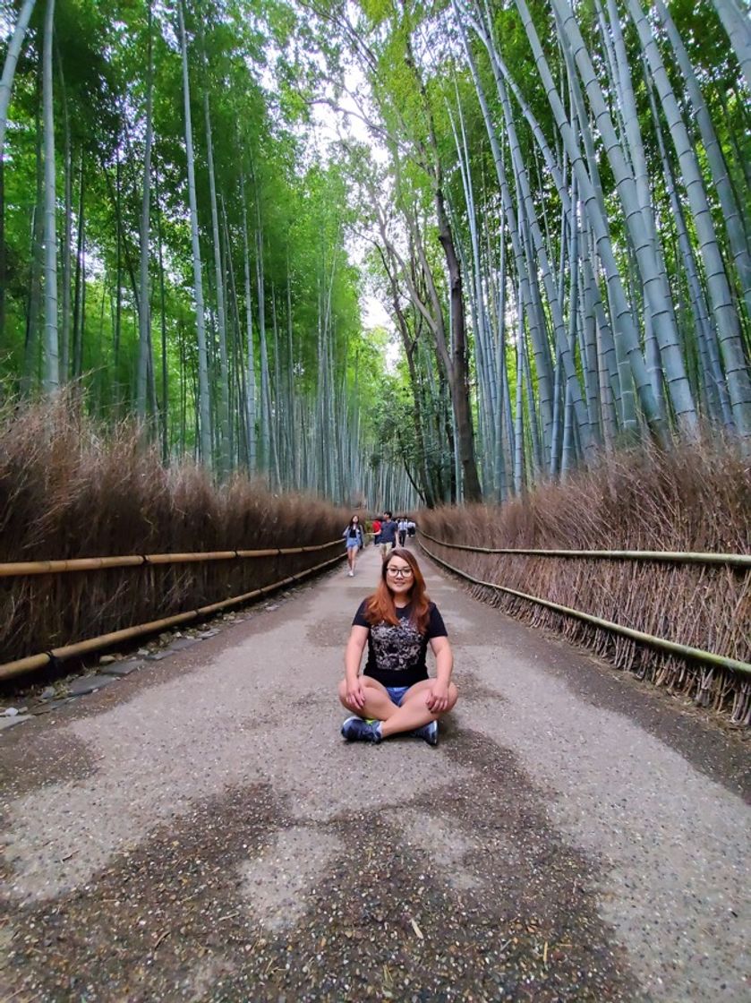 Place Bamboo Forest