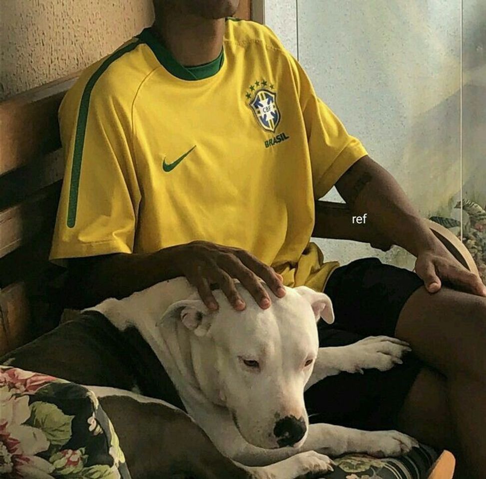 Moda amigo fiel 🐶💖💚🇧🇷