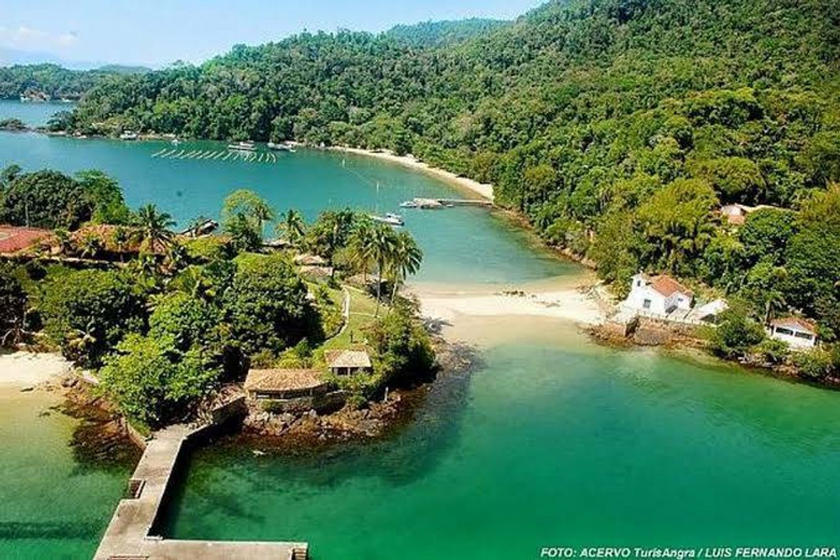 Fashion Angra Dos Reis- RJ