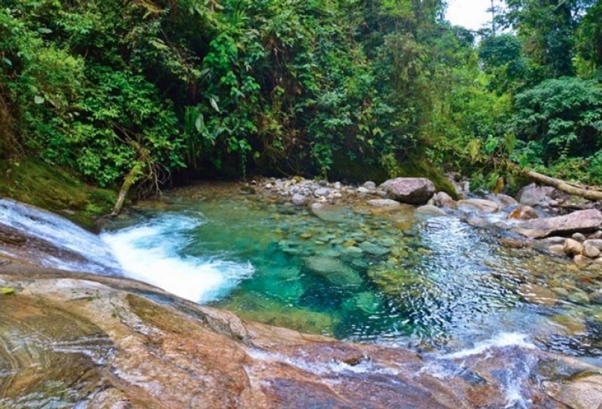 Lugar Área de Proteção Ambiental da Serrinha do Alambari