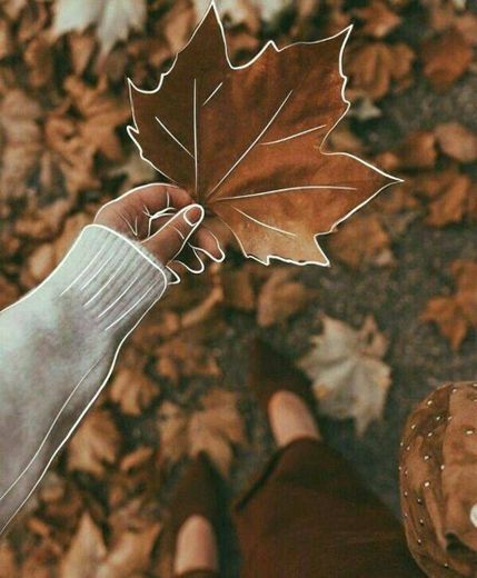 Autumn🍁