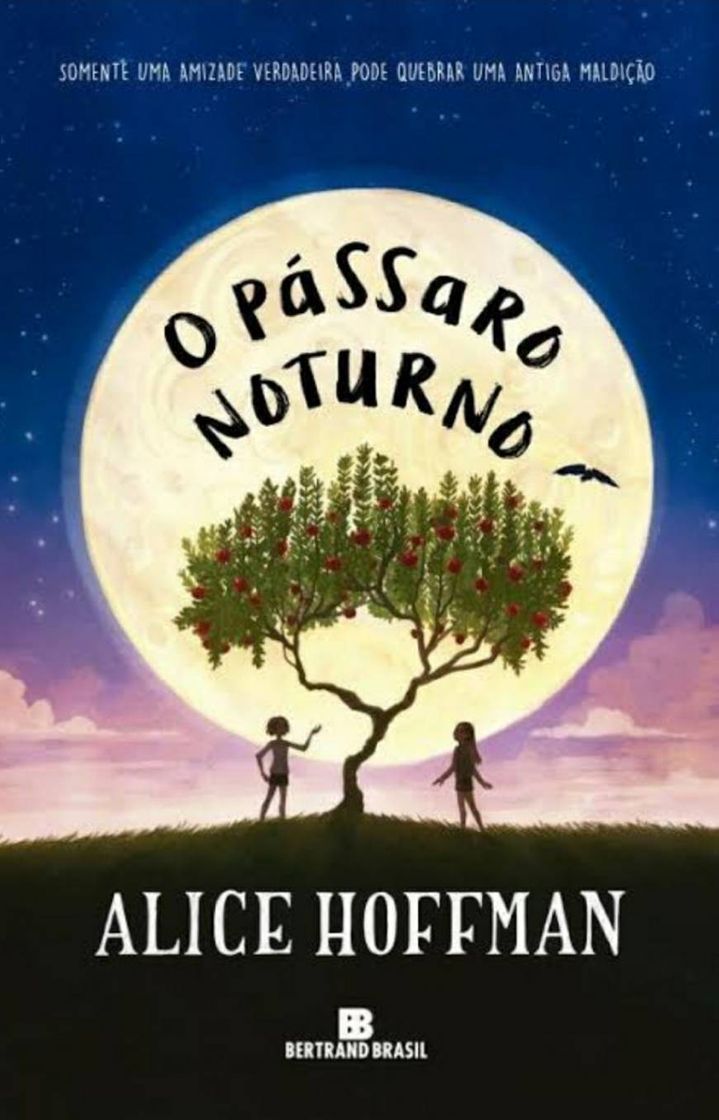 Libro O passaro noturno