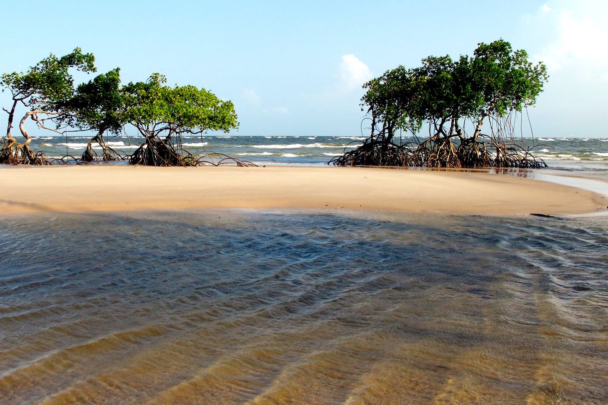 Place Ilha de Marajó