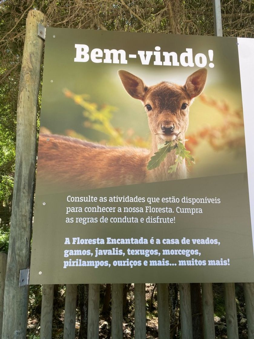 Lugar Tapada Nacional de Mafra